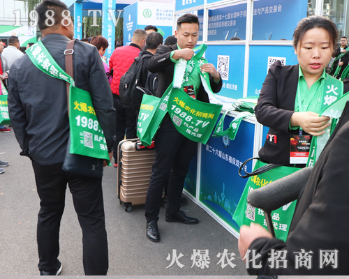 2019ɽ�|����ֲ������1988.TV�������F(xi��n)�����P(gu��n)ע��