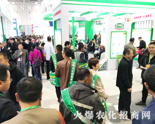 1988.TV���r(n��ng)�����̾W(w��ng)2019ɽ�|��(j��)��ֲ����(hu��)��(d��)���L(f��ng)����