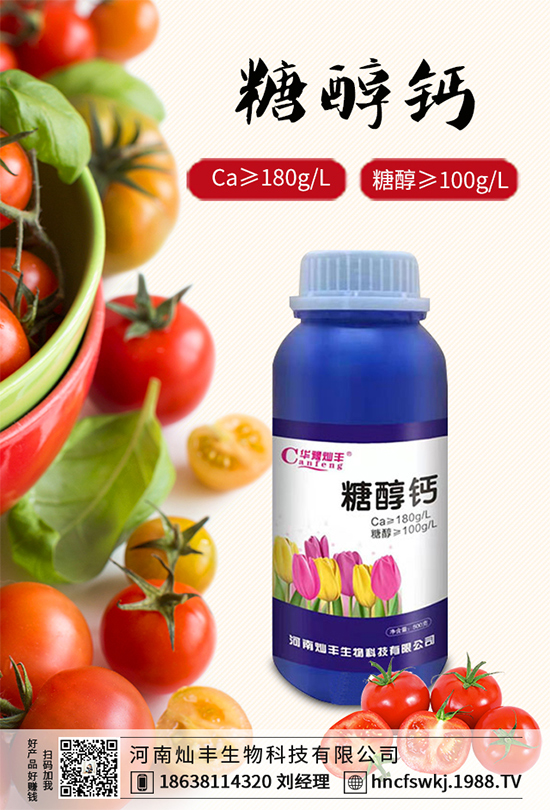 甘藍(lán)立枯病來襲，到底該如何防治？甘藍(lán)立枯病防治措施