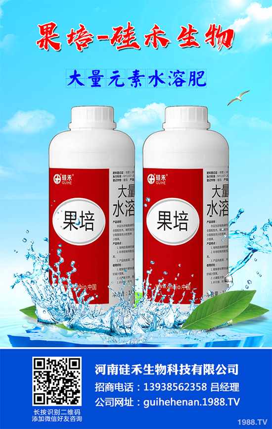 甘藍(lán)黑腐病是如何發(fā)生的？有哪些危害？甘藍(lán)黑腐病綜合防治方案