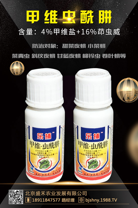     ���������ܚ�ʲô�x�����ʹ���������������c�˽�ô��