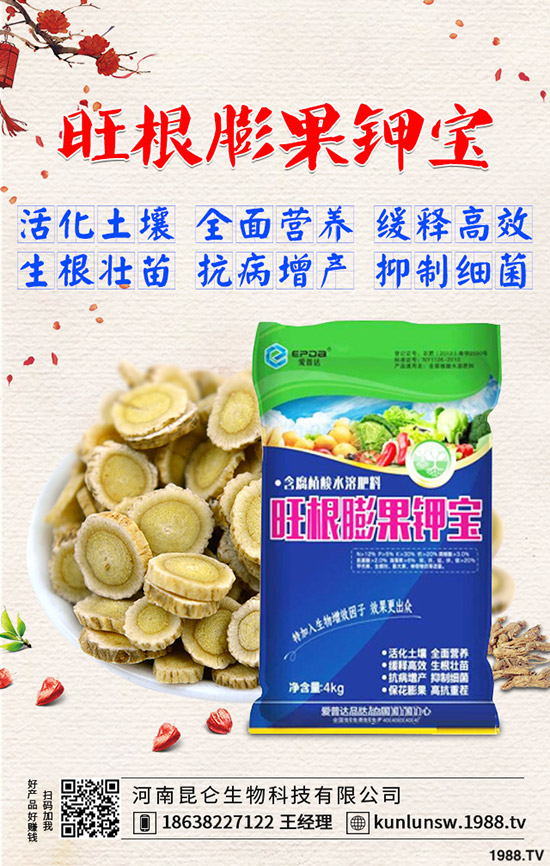 高粱什么時候種植，高粱田間管理技術有哪些？