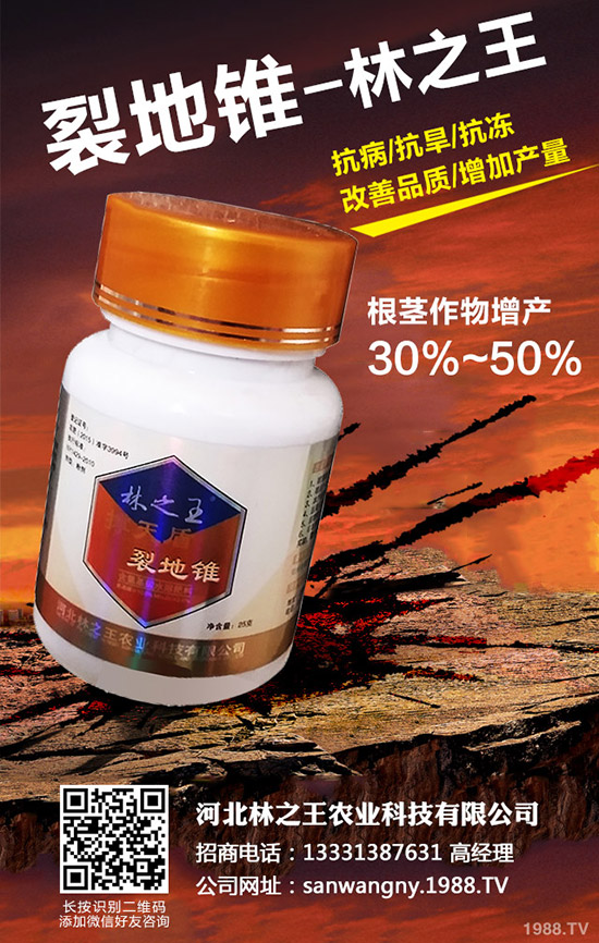 苦瓜裂果是怎么回事，苦瓜裂果防治措施！