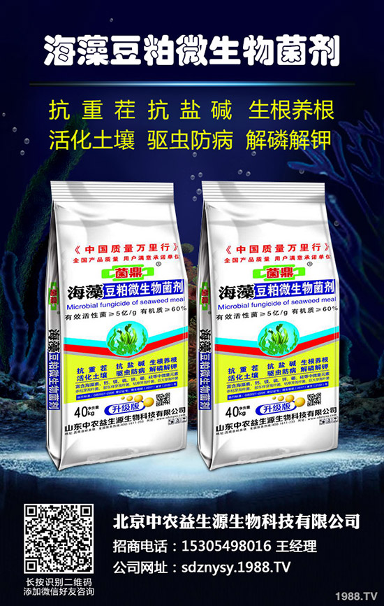 ע���ˣ�12���r(n��ng)�°���Ԕ��һ�[��ʮ���·Nֲ����ָ����