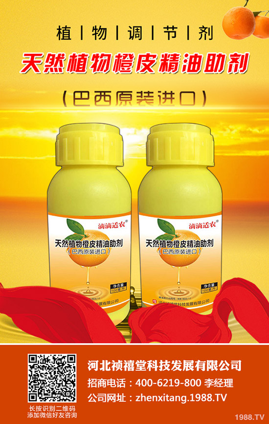 大頂苦瓜怎么種植？如何才能高產(chǎn)增收？