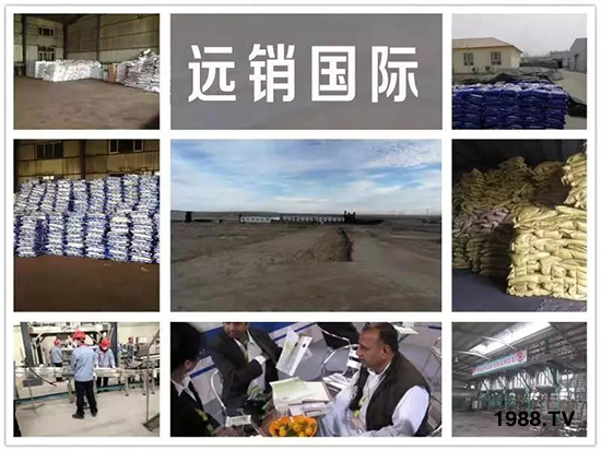 礦源黃腐酸鉀——精品肥！1公斤=8噸有機肥！新疆源頭直發(fā)?。?！