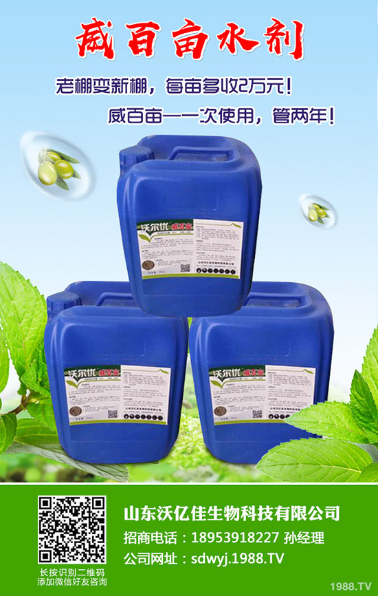 甜瓜什么時(shí)候種植？甜瓜怎么種植能高產(chǎn)？