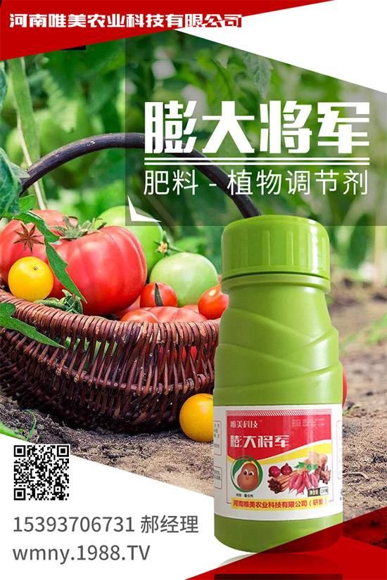 吃西柚有什么好處？挑選西柚的小技巧！