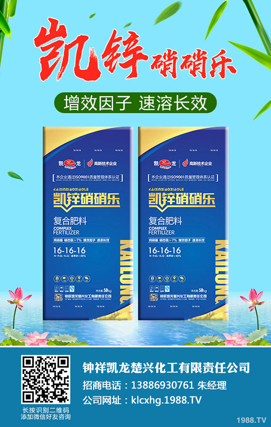 什么是有機(jī)大白菜，有機(jī)大白菜種植要點(diǎn)有哪些？