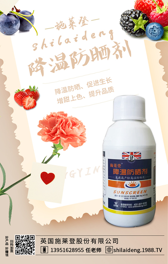 Ӣ��(gu��)ʩ�R�ǹɷ����޹�˾2