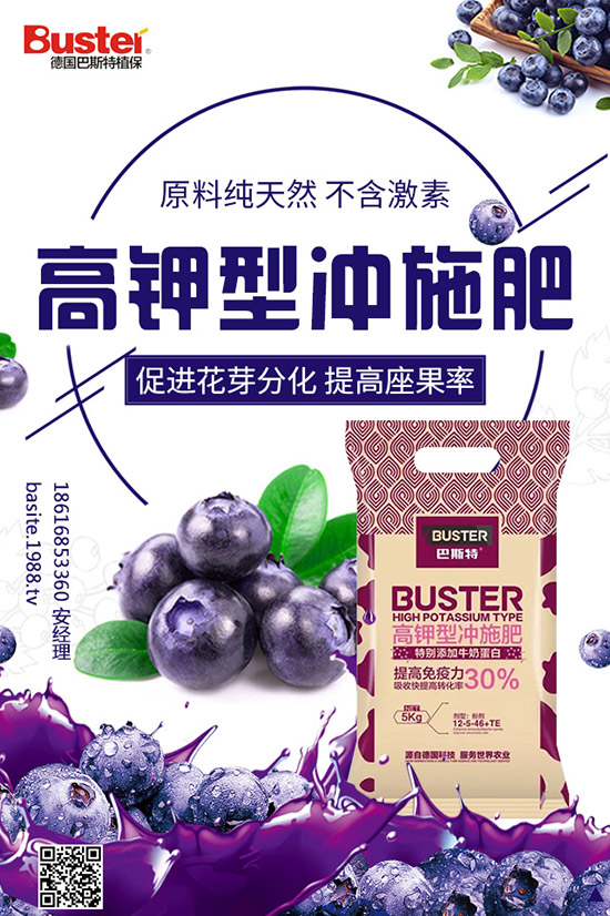 番茄灰霉病和葉霉病都有啥區(qū)別？番茄灰霉病如何防治？