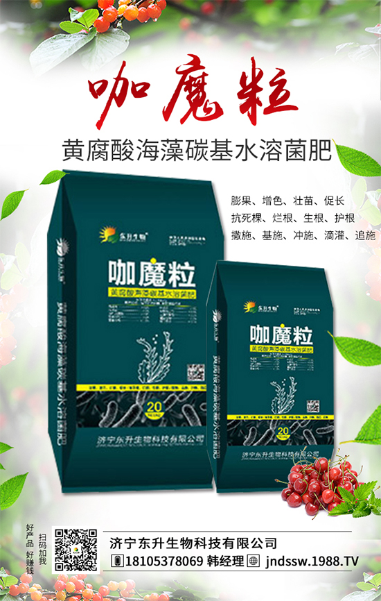 大棚草莓旺長的原因，大棚草莓旺長解決措施