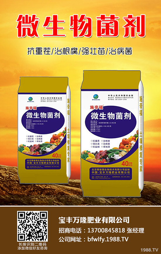 西蘭花種植方法有哪些？西蘭花種植注意事項！