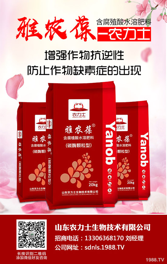     進入11月下旬！最新尿素市場行情后市走勢預(yù)測！