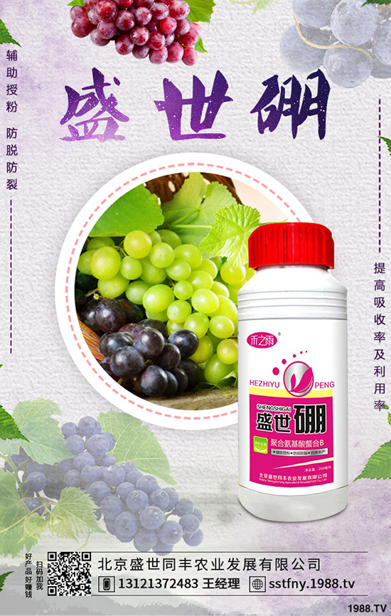 西葫蘆早疫病的發(fā)病原因是什么？如何防治西葫蘆早疫??？