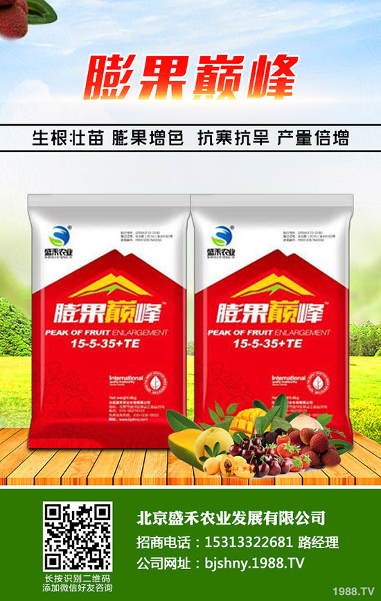 冬季大棚番茄空心果是什么原因，怎樣避免番茄空心果發(fā)生？