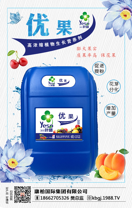 康柏國(guó)際集團(tuán)有限公司