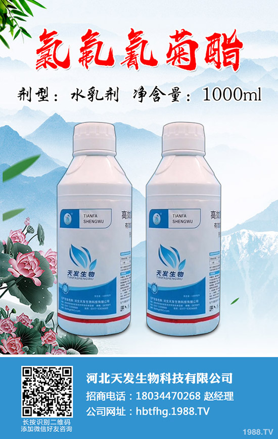 小麥吸漿蟲危害有多大？小麥吸漿蟲防控技術(shù)！