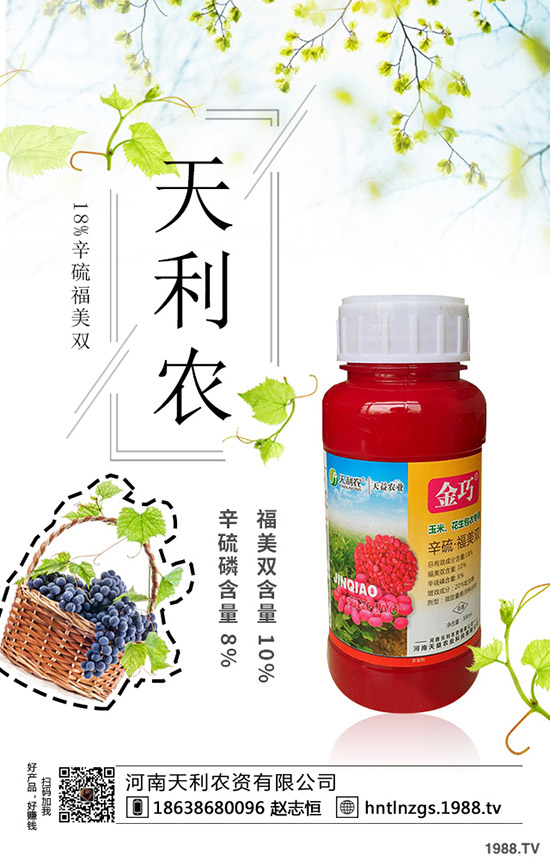 冬棗縮果病是咋回事？冬棗縮果病發(fā)病癥狀、原因和防治措施！