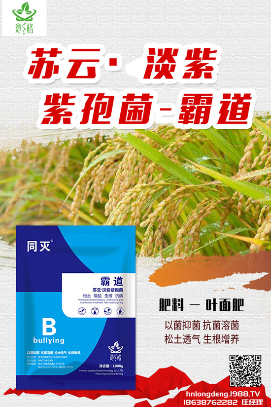 如何種植盆栽玫瑰，盆栽玫瑰的種植方法和注意事項！