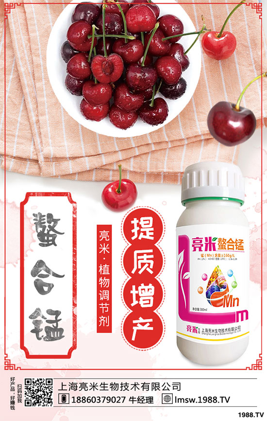 黃秋葵有哪些營(yíng)養(yǎng)價(jià)值？黃秋葵高產(chǎn)栽培技術(shù)