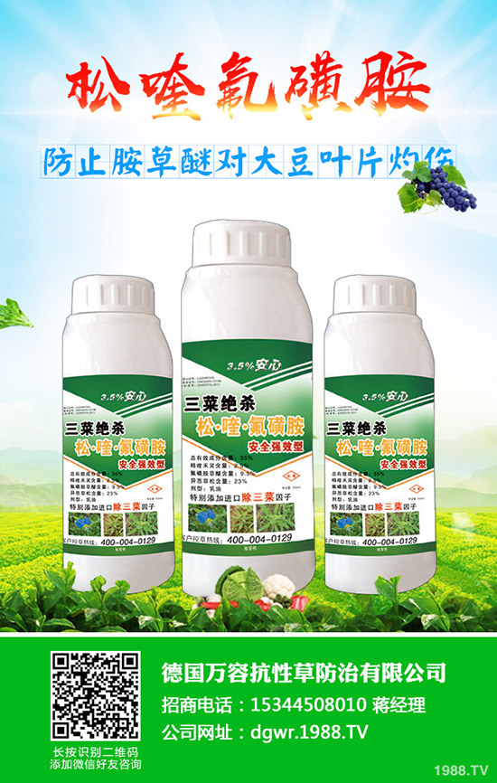 �S��ʲô�r�g�Nֲ���S���ķNֲ��������Щ��