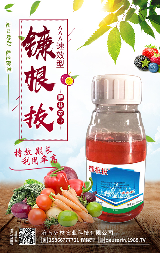 鐵蘭花苞變綠別緊張，這樣防治保產量！