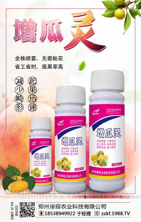 大棚南瓜怎么種植？大棚南瓜的種植中要點(diǎn)！