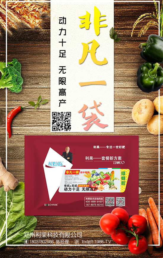 冬天大白菜如何儲存？冬季大白菜保鮮方法