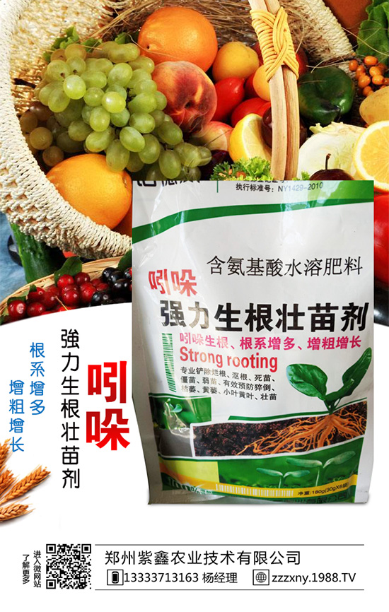 春芝麻種植時間是什么時候嗎？春芝麻種植管理技術(shù)！