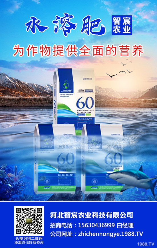 茄子僵果是什么原因造成的？茄子僵果如何防治？