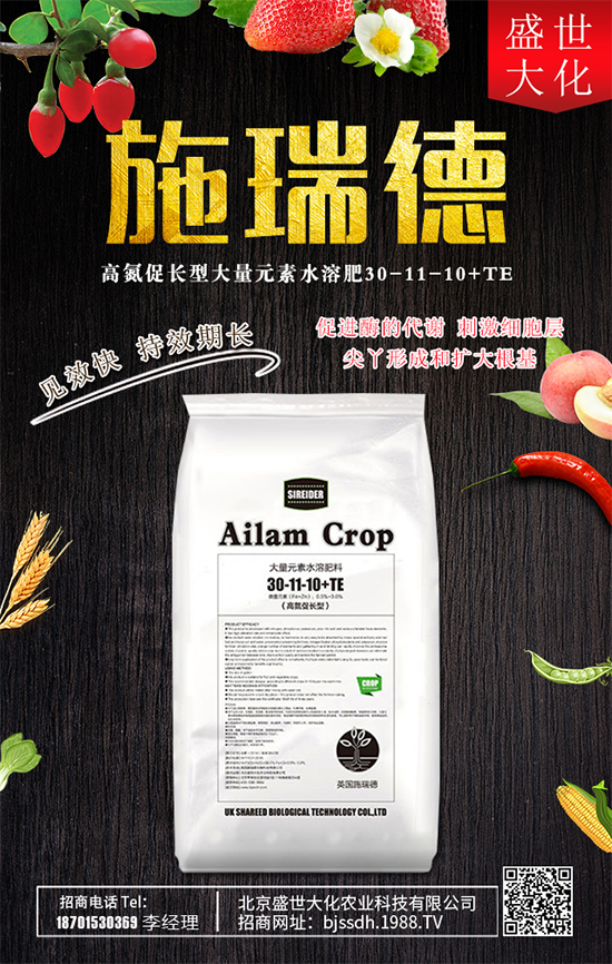 ʯ����ʲô�I�B(y��ng)�rֵ��ʯ������Щʳ�ù�Ч��