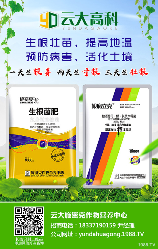 ��������ֲ��Ƥ�Ɇ�����Ƥ�ɶ�����ֲ����