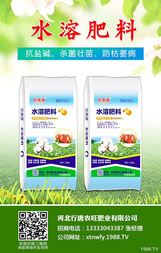 2019.11.29復(fù)合肥行情不溫不火！近期復(fù)合肥價格走勢分析！