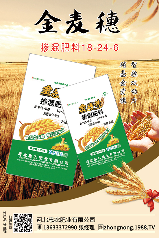 С���Ⱥ��벡