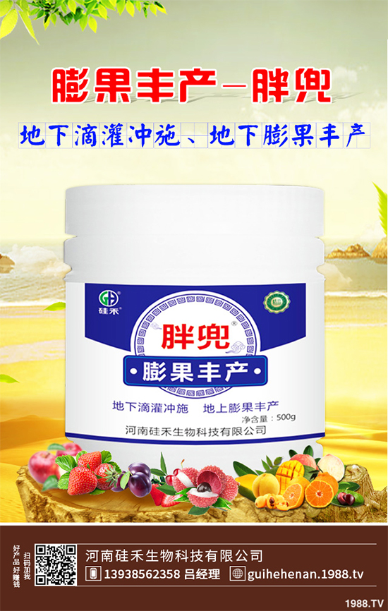 大棚西芹你知道該如何種植嗎？大棚西芹種植管理技術(shù)