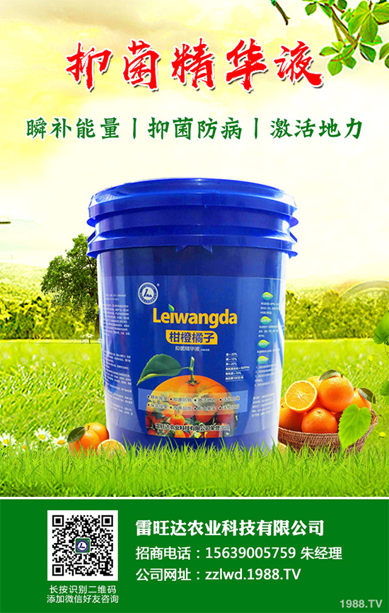 長期低溫寡照，蔬菜長勢(shì)差該如何解決？冬季大棚補(bǔ)光的幾項(xiàng)措施