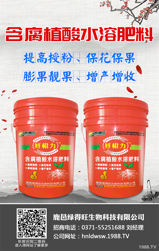 大棚蔬菜沖施肥需要注意什么？冬季大棚蔬菜施肥技術(shù)