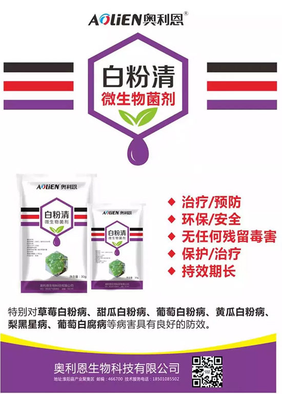 白粉病“反復(fù)難纏”？ 記住這個(gè)藥，高效防治白粉病，鏟除！