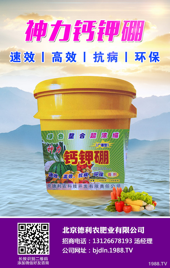 八月瓜種植前景如何，八月瓜種植要點(diǎn)！