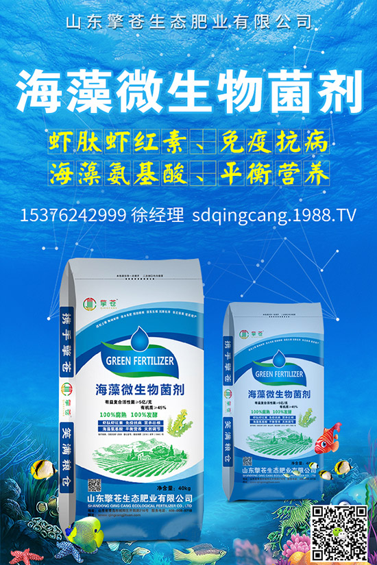     尿素價(jià)格跌出新價(jià)！2019年11月初尿素行情走勢(shì)分析及后市預(yù)測(cè)！