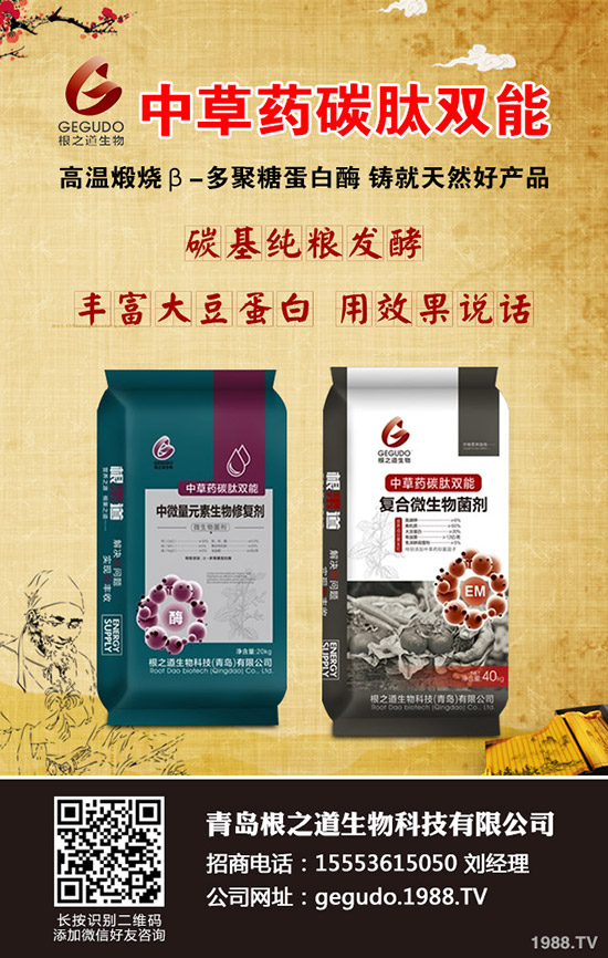 小麥土傳病害有哪些危害？小麥土傳病害發(fā)病規(guī)律及防治！