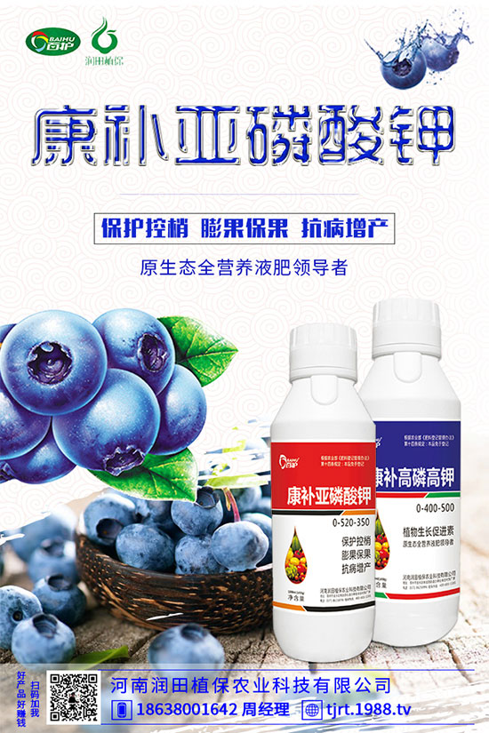 朝天椒什么播種？朝天椒的種植方法及病蟲(chóng)害防治