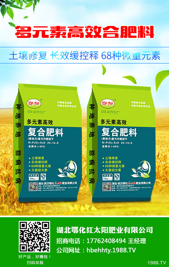 黑皮甘蔗怎么種，黑皮甘蔗種植技術(shù)有哪些？