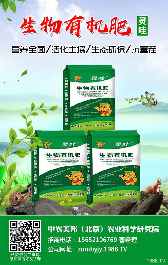 越冬蔬菜種植該注意什么？越冬蔬菜高產(chǎn)種植技術及注意事項