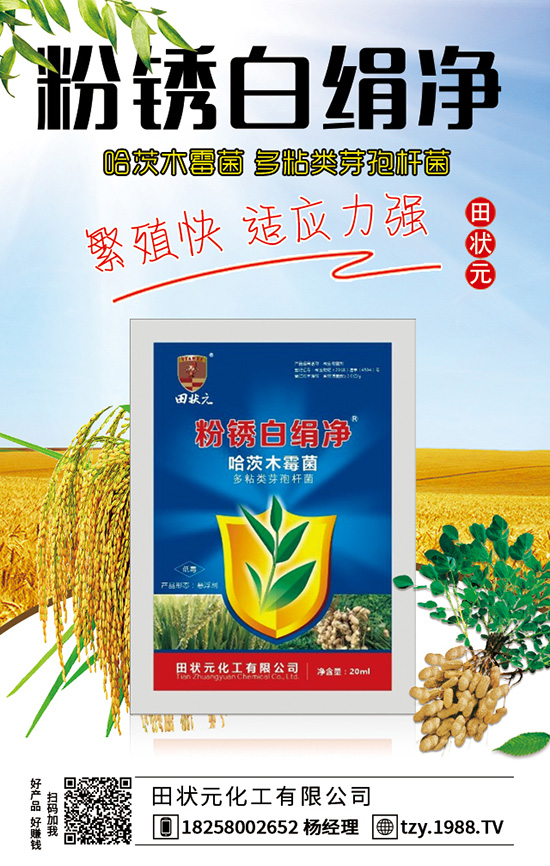 玉米殺蟲劑防治蟲害措施 玉米殺蟲劑注意要點