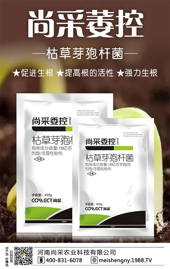 大棚草莓技巧及管理方法，大棚草莓施肥要點！