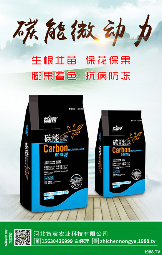 ħ��ԓ��ô�N��ħ��߮a(ch��n)�Nֲ��������