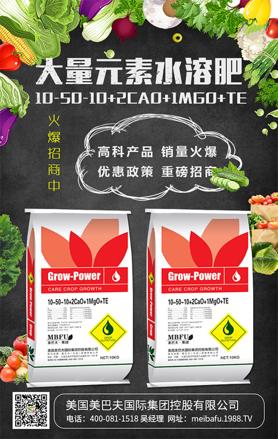 2020��Nֲʲô�߲˒��X(qi��n)����2020��Nֲʲô�߲�ǰ������