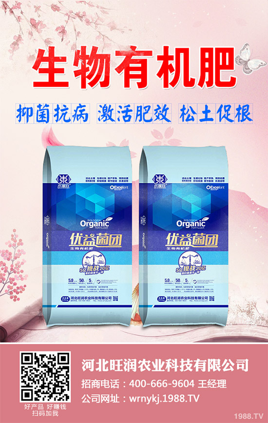 ����²�ԓ��ô�N����������²˷Nֲ���g(sh��)Ҫ�c